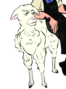 By Kayla Matt Bessaria the DJ Sheep