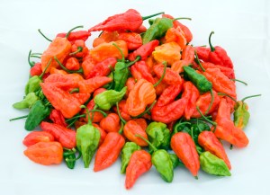 Ghost Peppers