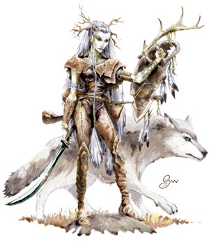 Druid from D&D