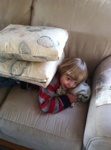 Blanket Pillow and Pillow Blanket