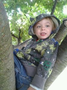 So easy you can do it from a tree!