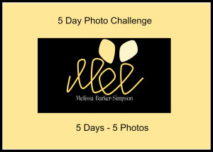 5 day photo challenge
