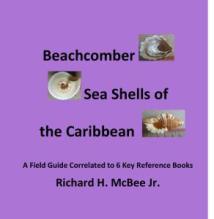 Book Cover Shells Front-1