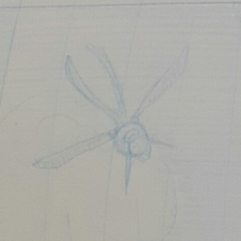 Teaser for Nevra Coil Cover By Jason Pedersen