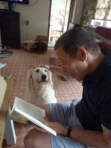 Read the stories to your pet