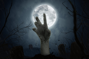 shutterstock_287056304