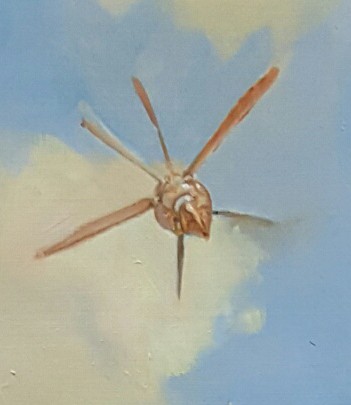 Teaser for Nevra Coil by Jason Pedersen