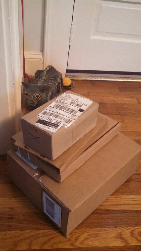 11995686_10154111419419989_1757999501_n (1)