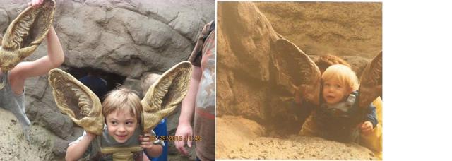 Fennec Fox Ears!  (Decades apart)