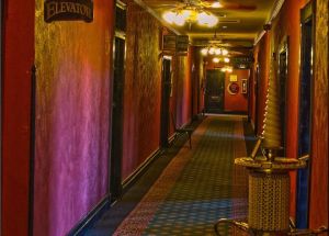 tumblr_inline_nv7l9vNC6e1tdvci2_540